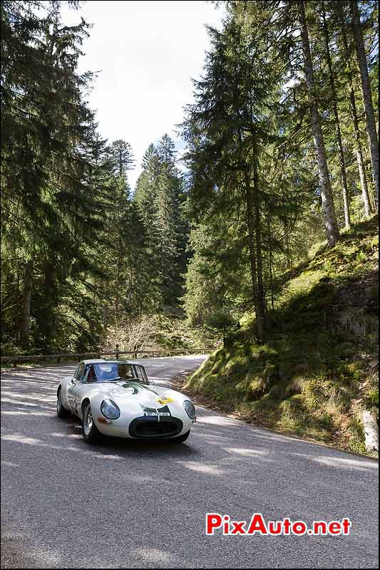 Jaguar E-Type, Foret Vosges, Tour-Auto-Optic-2000 