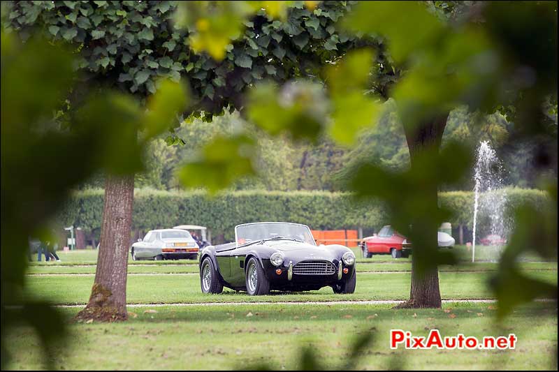 Chantilly-Arts-&-Elegance-Richard-Mille, AC Cobra 289ci