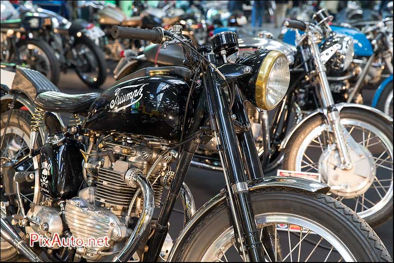 Salon Automedon 2015, Triumph