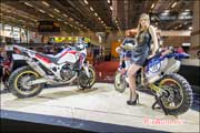 Salon-de-la-Moto 2015, Hotesse Honda CRF1000L Africa Twin