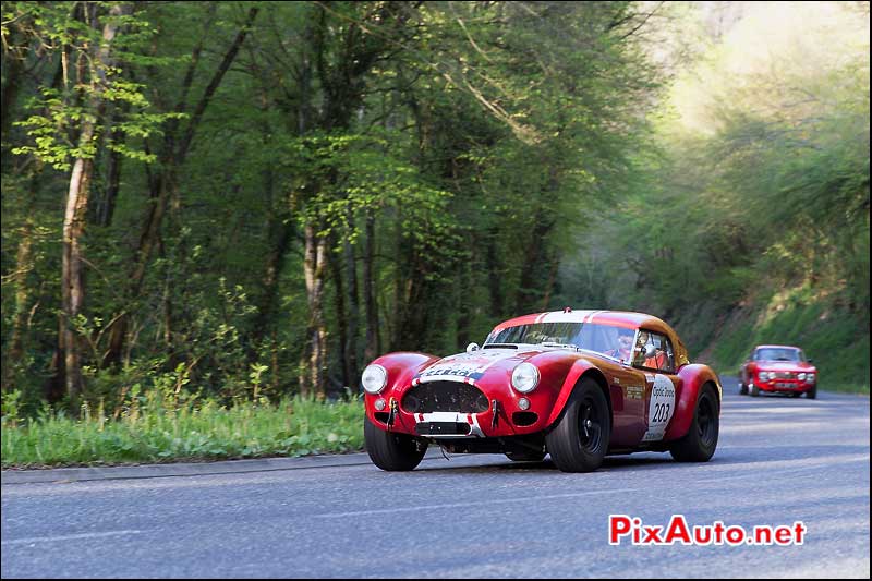 Tour Auto, AC-Cobra Shaun Lynn N°203