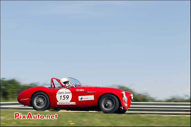 Tour Auto, Circuit Pau Arnos, Austin Healey 100 N°159