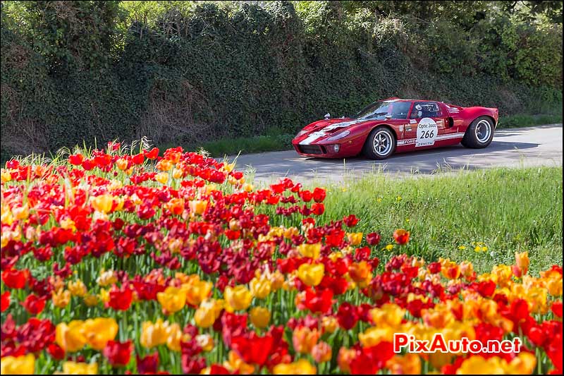 Tour Auto 2015, Ford GT40 Numero 266