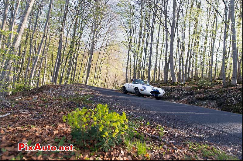 Tour Auto, Jaguar Type-E N°243