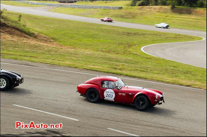 Tour Auto, Circuit Pau Arnos, Shelby Cobra N°203