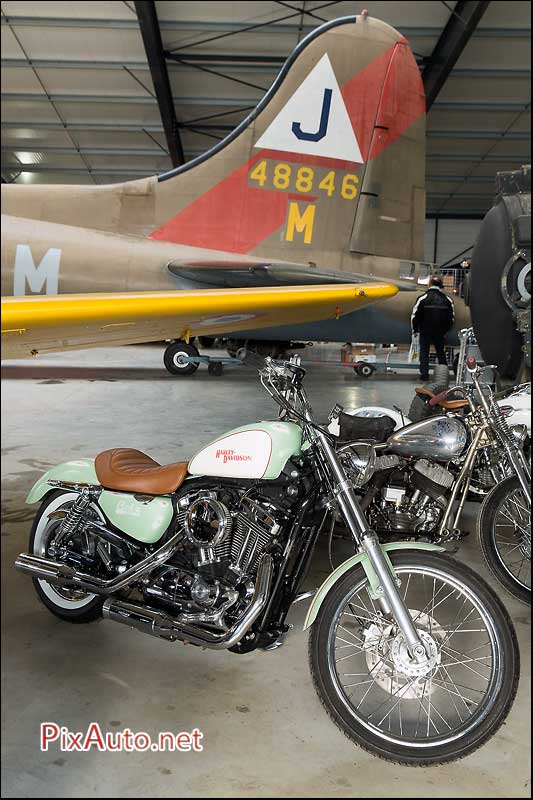 Wings & Rides, Harley Davidson Galz Motorcycle