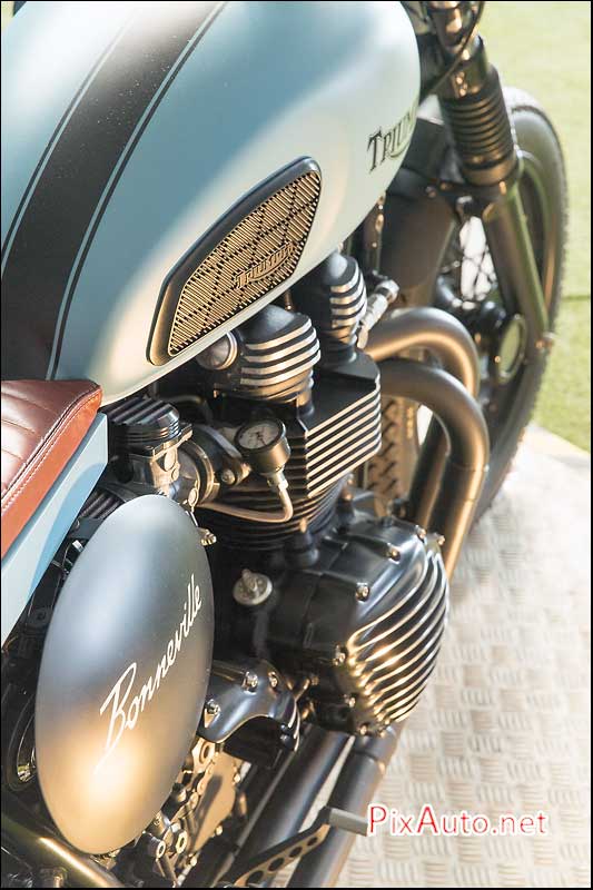 Wings & Rides, Triumph Bonneville T100