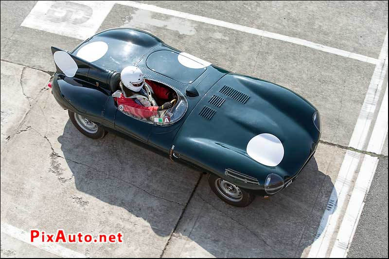 Coupes-de-Printemps, Jaguar Type D Replica