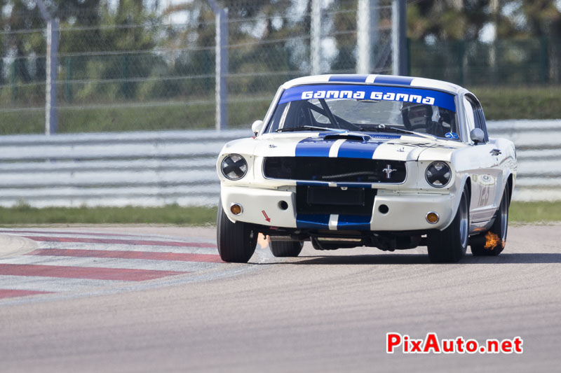 Dijon-MotorsCup, Shelby Mustang Gt350