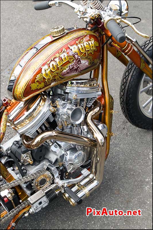 Iron Bikers, Prepa Harley-Davidson Gold Rush