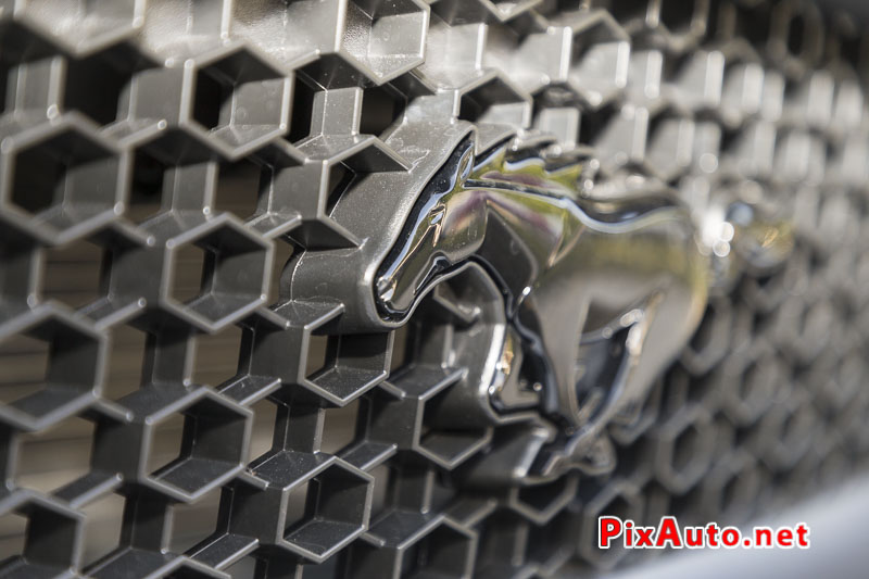 Motors-and-Soul, Mustang