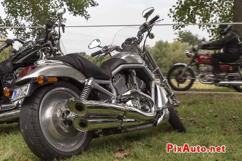 Motors-and-Soul, V Rod Harley Davidson