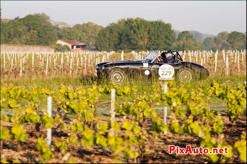 Tour-Auto-Optic-2000, Austin Healey #229 dans Le Vignoble Chateau De Goulaine