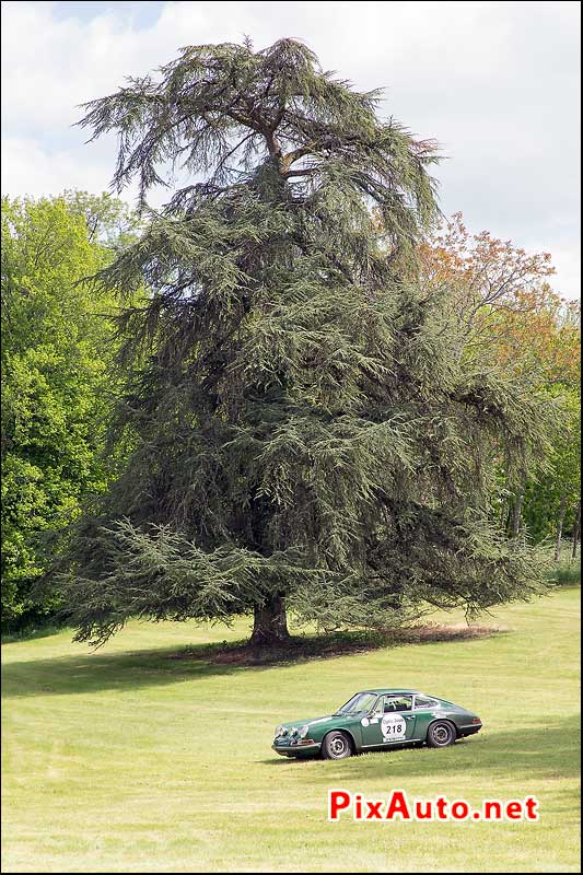 Tour-Auto-Optic-2000, Porsche 911 #218