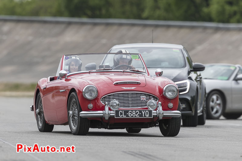 Les Collectionneurs Ont Du Coeur, Austin-healey 3000z