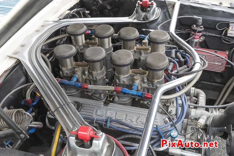 Les Collectionneurs Ont Du Coeur, V8 Shelby GT 350