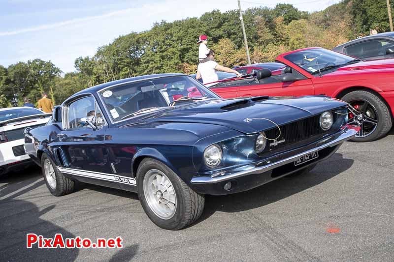 1er US Motor Show, Mustang Shelby Gt500