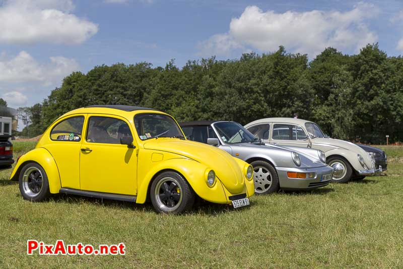 Wagen Fest, Cox Jaune