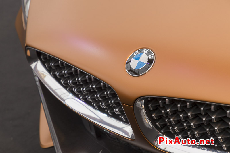 33e Festival-Automobile-International, BMW Z4 Concept Calandre
