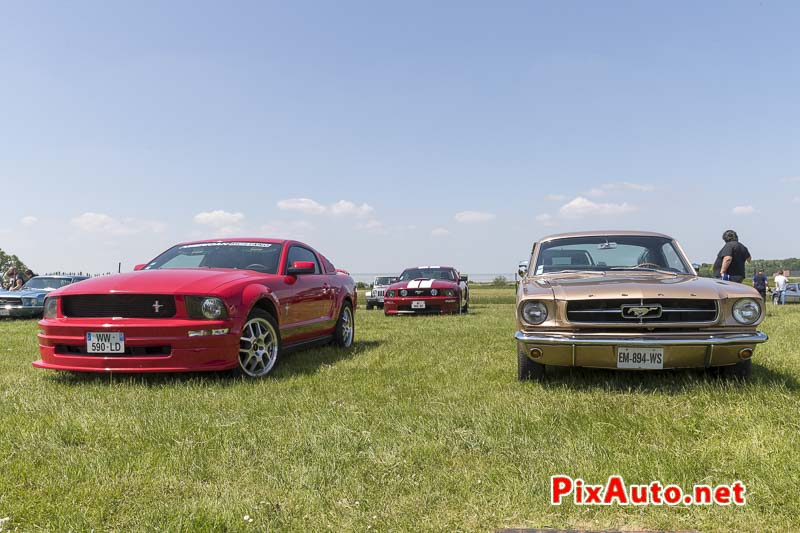 10e Mustang Nats, Ford Mustang Moderne Et vintage