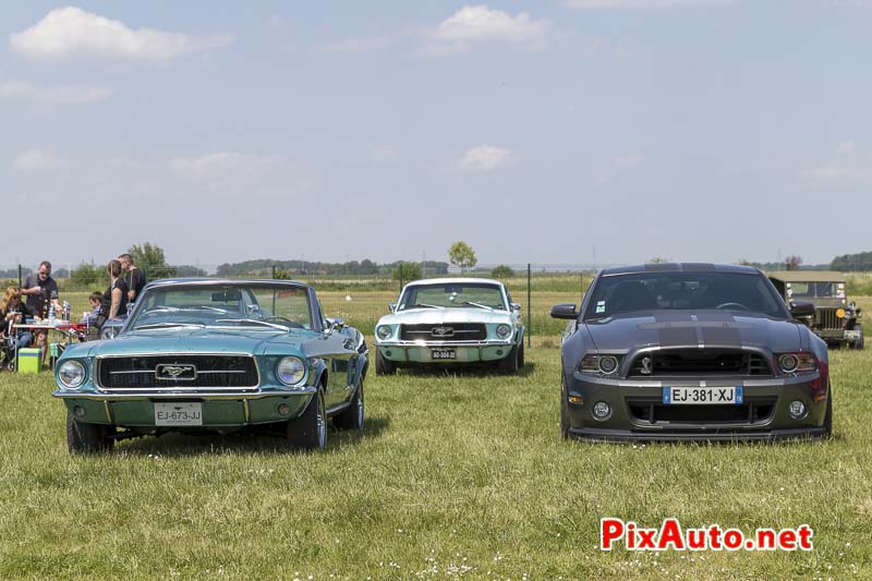 10e Mustang Nats, Ford Mustang Vintage et Moderne