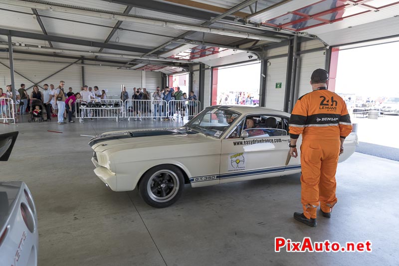 10e Mustang Nats, Mustang Shelby Gt350