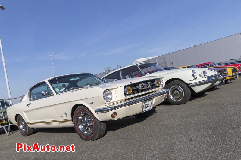 Salon Automedon, Ford Mustang 289ci