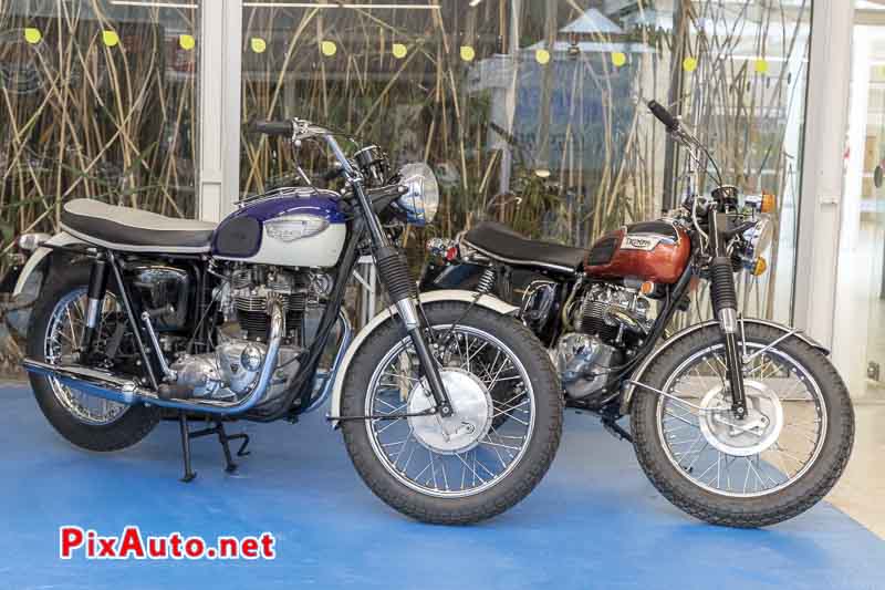 Salon Moto Legende, Triumph Tr6 Desert Sled et T100c Trophy