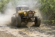 King Of France, Ultra 4 #77 Swamp