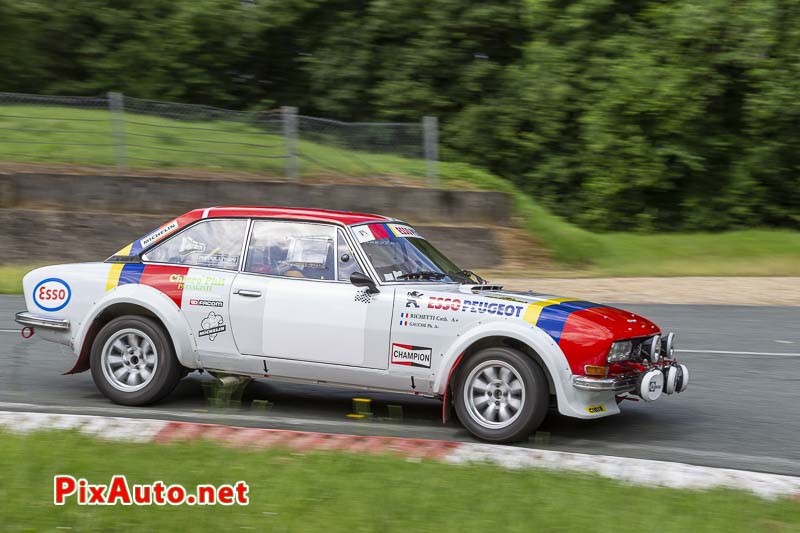 Liberté, Egalité, Roulez !, Peugeot 504 V6 Rallye