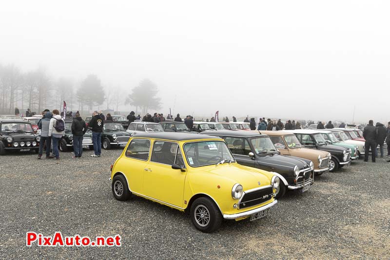 God-Save-the-Car 2019, Clubs de Mini