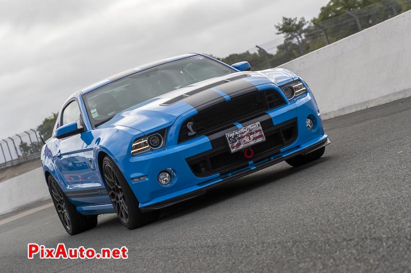 US Motor Show, Shelby GT 500