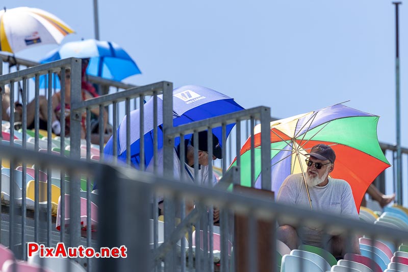 Grand Prix De France Historique, Spectateurs en Tribune