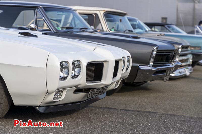 Salon Automedon, Pontiac Gto