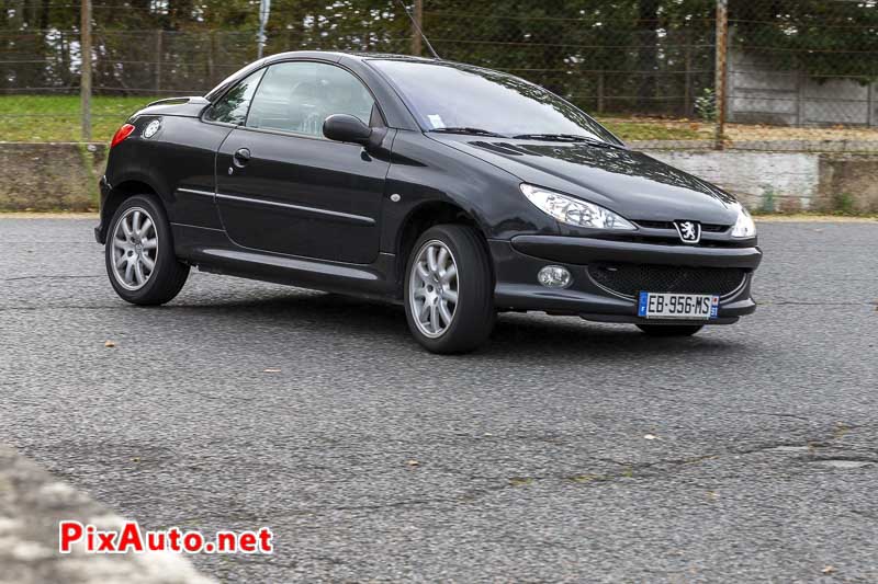 Peugeot 206 CC lors du Liberte, Egalite, Roulez !