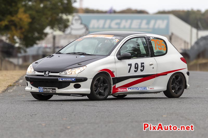 Peugeot 206 Trophee au Liberte, Egalite, Roulez ! 2020