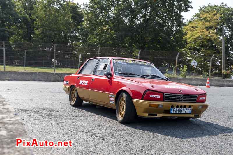 United Colors Of Autodrome, Peugeot 505 V6 S Coupe Antho