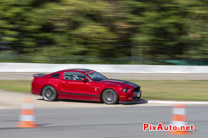 3e US Motor Show, Ford Shelby GT 500