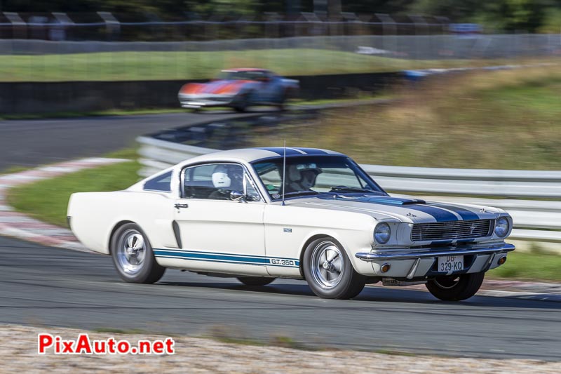 3e US Motor Show, Mustang Shelby Gt350