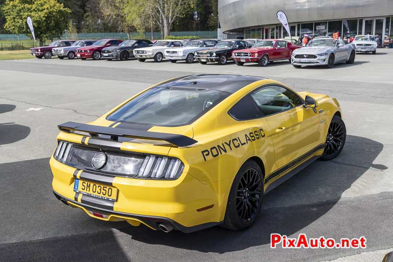 3e US Motor Show, Pony Cars